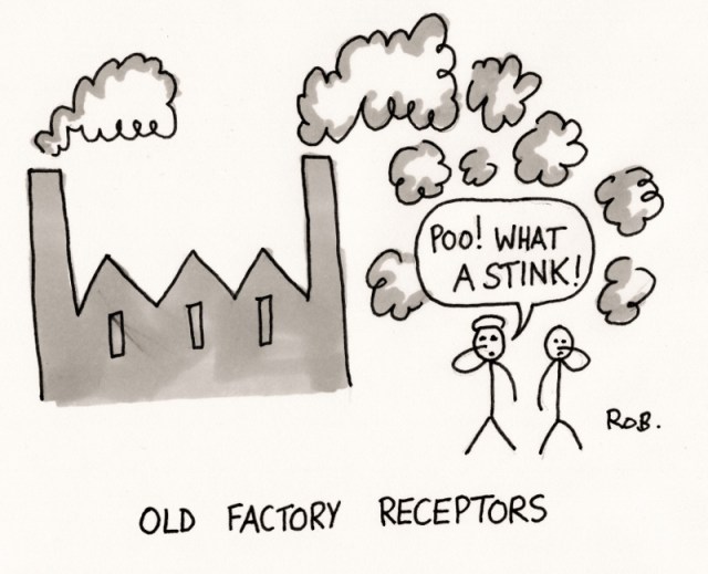 Oldfactory (800x649)