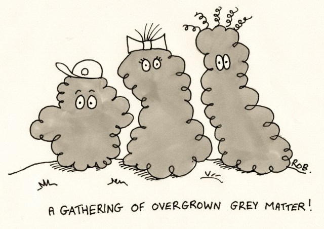 110813greymatter (800x565)