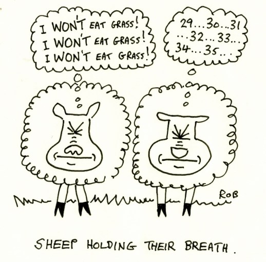 250813sheep (800x789)