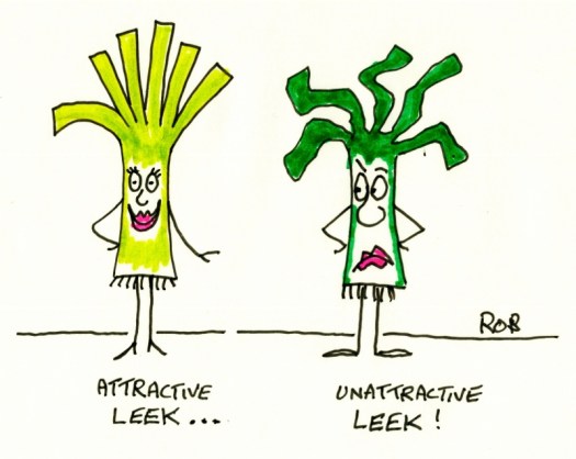 131013Leeks (800x638)