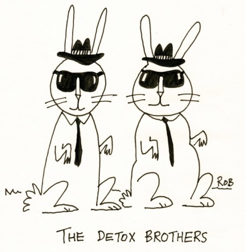 130114detoxbros (777x800)
