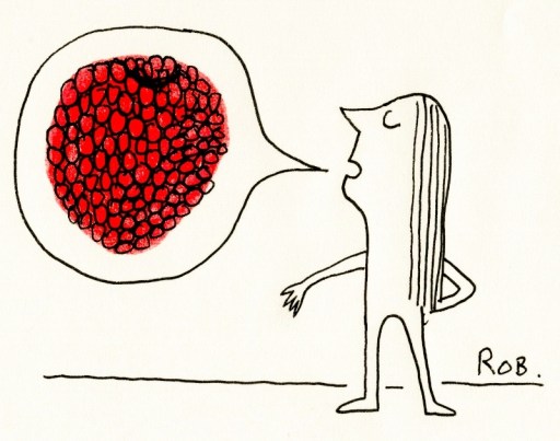 130114Raspberry (800x631)