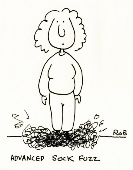 190114sockfuzz (627x800)