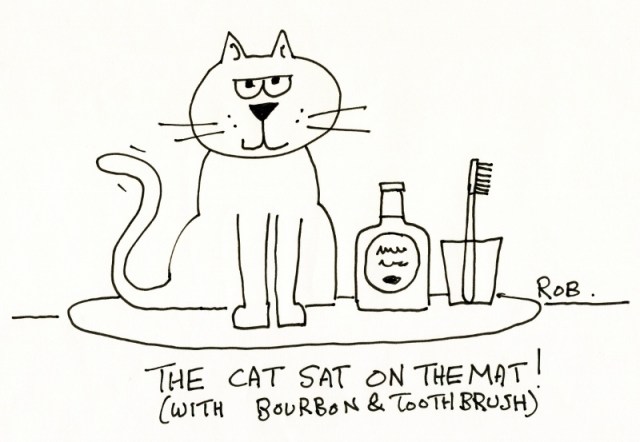 260114catsat (800x553)