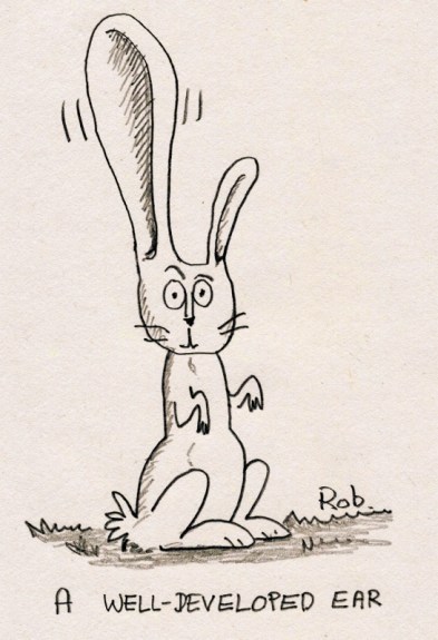 020314Bigear (546x800)