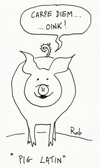 090314PigLatin (478x800)