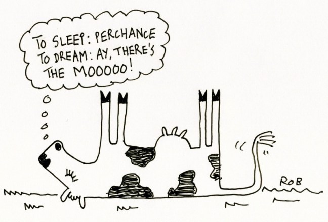 160314cowdreams (800x544)