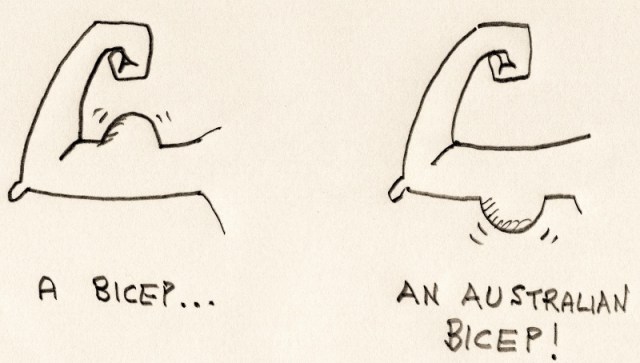 250514biceps (800x454)