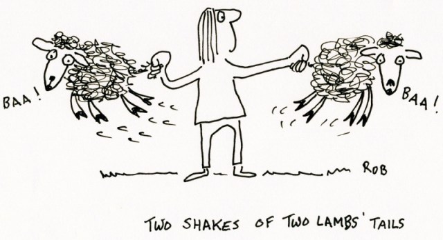 080614lamb (800x435)