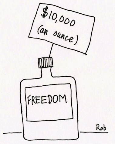 290614freedom (639x800)