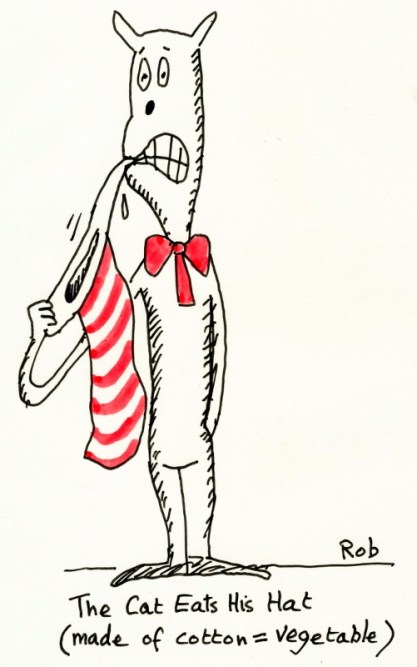 070914cathat (501x800)