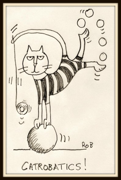 Catrobatics