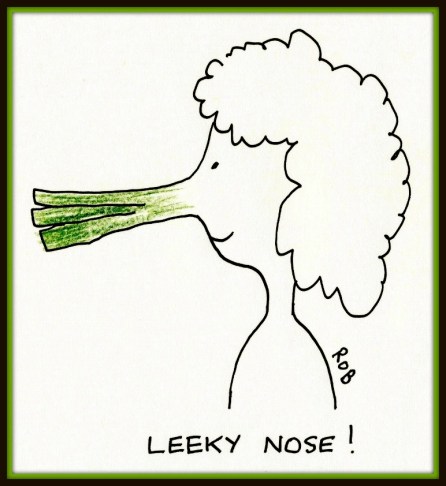 Leeky Nose