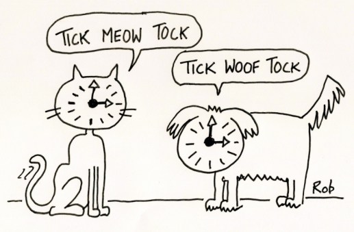 150215meowwoof (800x525)