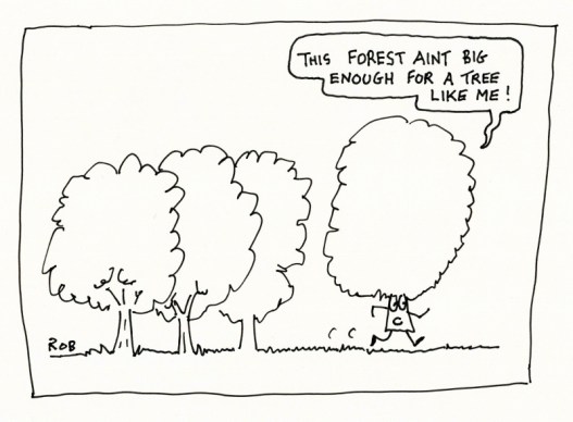 260415forest (800x590) (2)