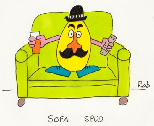 310515sofaspud (800x656)