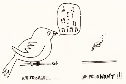 140615willwont (800x535)